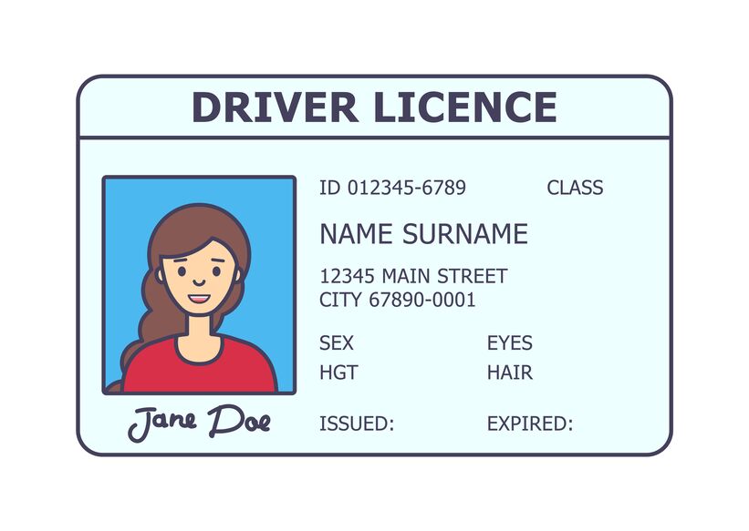 car driver licence identification. driving licence plastic card with woman photo. flat style isolated. vector illustration.